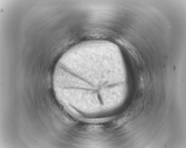 X0000088650465200706221615