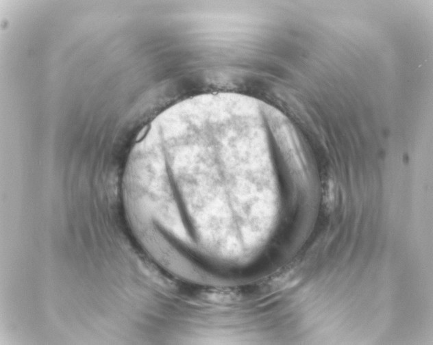 X0000088650466200706221615