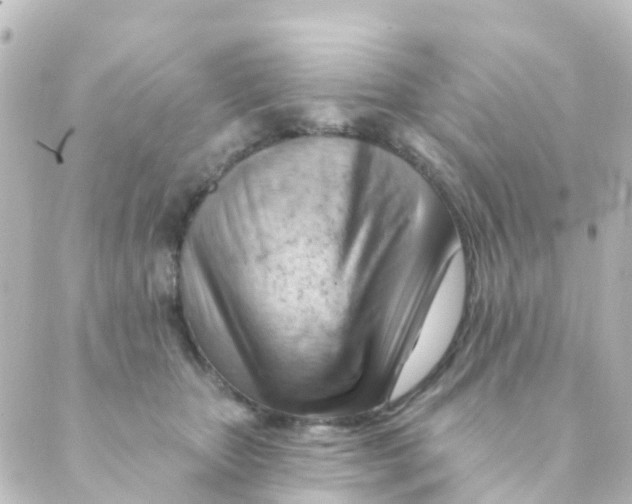 X0000088650467200706221615