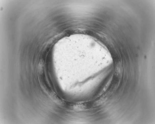 X0000088650468200706221615