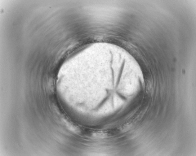 X0000088650470200706221615