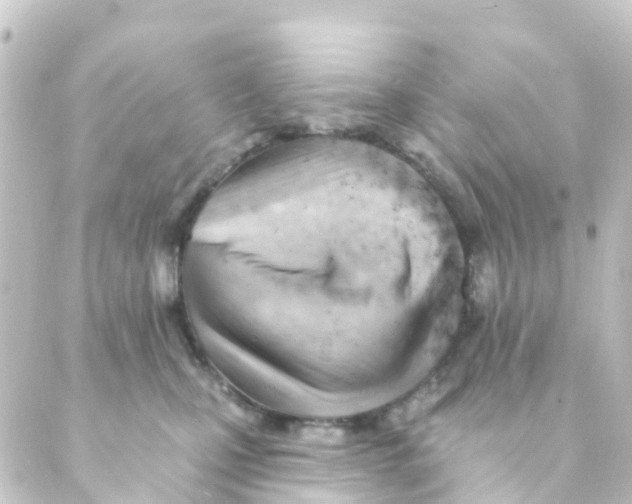 X0000088650471200706221615