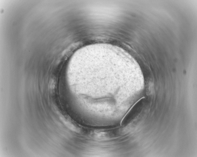 X0000088650472200706221615