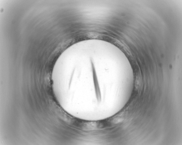 X0000088650473200706221615