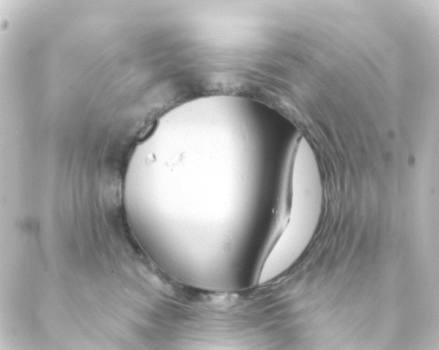 X0000088650474200706221615