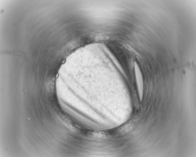 X0000088650475200706221615