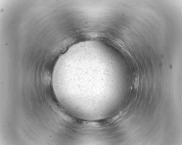 X0000088650476200706221615