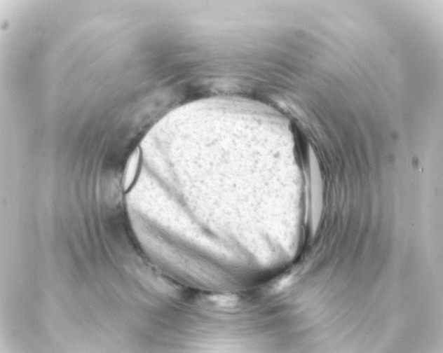 X0000088650478200706221615