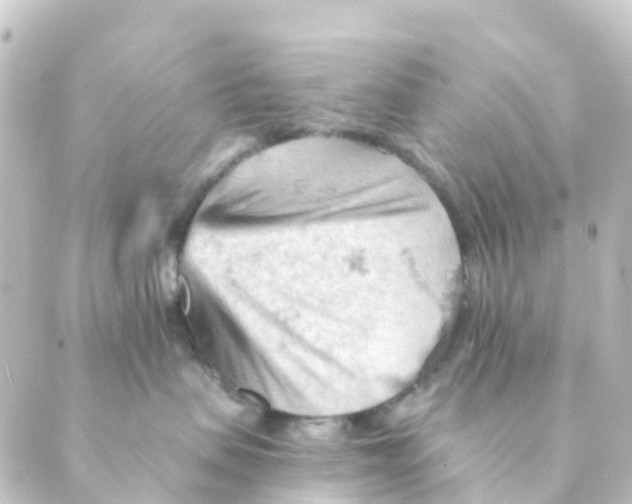 X0000088650479200706221615