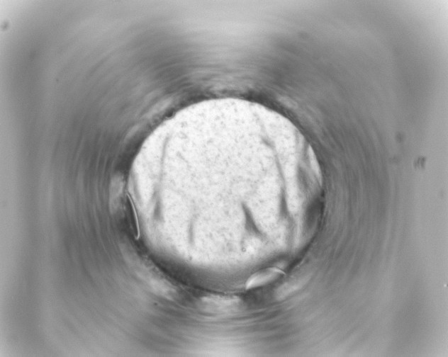 X0000088650480200706221615