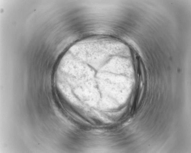 X0000088650482200706221614