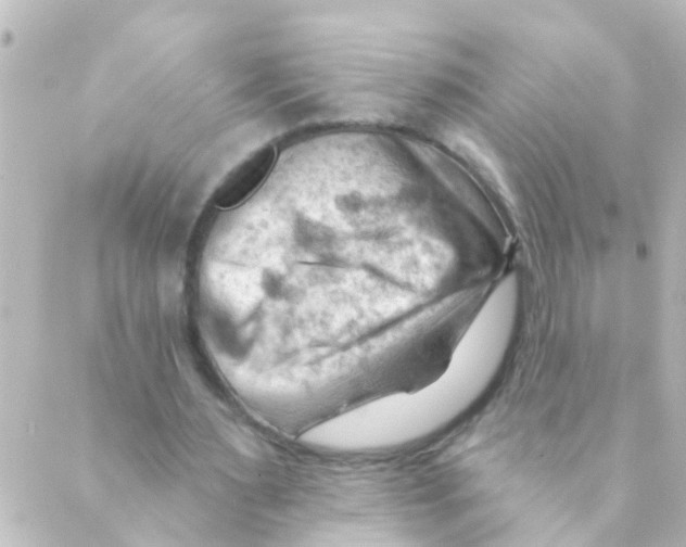 X0000088650483200706221614