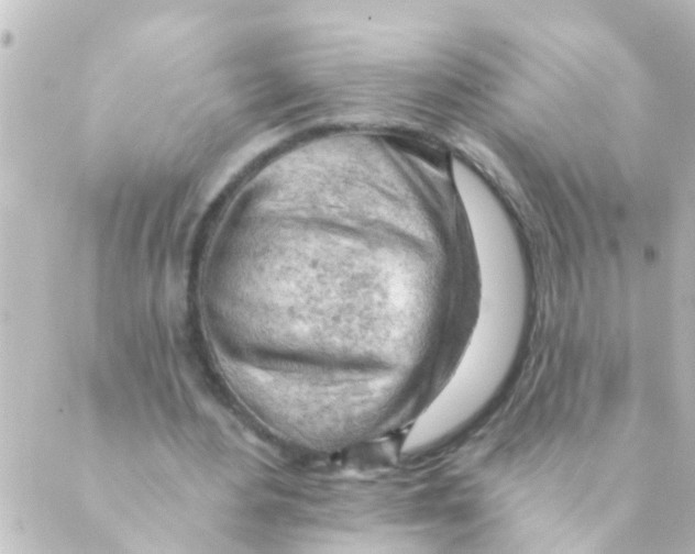 X0000088650484200706221614