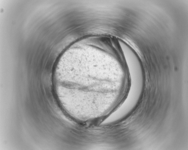 X0000088650485200706221614