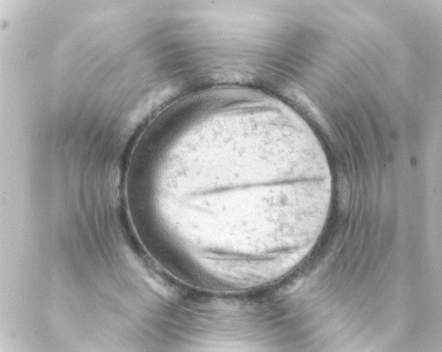 X0000088650490200706221614