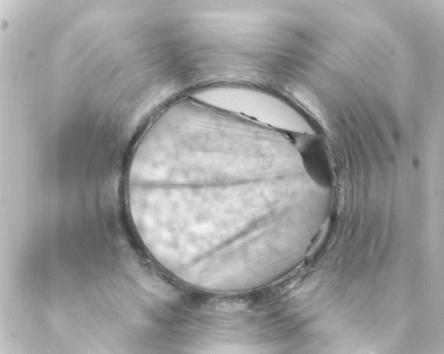 X0000088650491200706221614