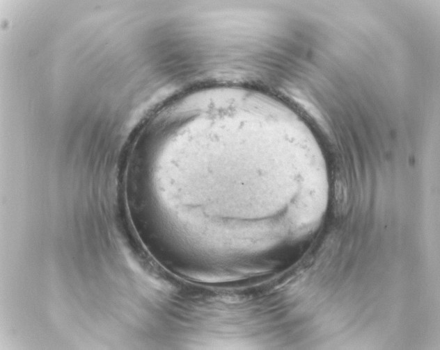 X0000088650492200706221614