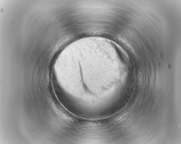 X0000088650494200706221614