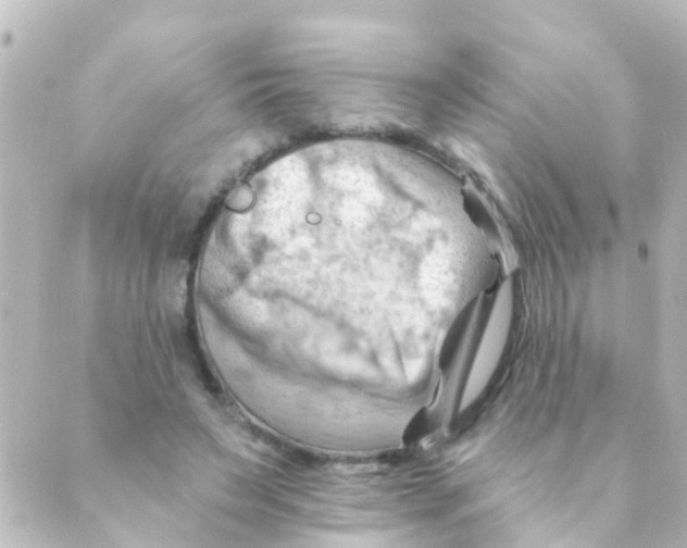 X0000088650495200706221614