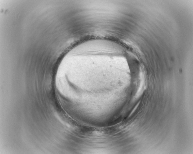 X0000088650496200706221614