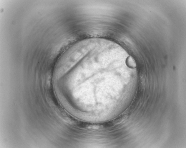 X0000088650499200706221614