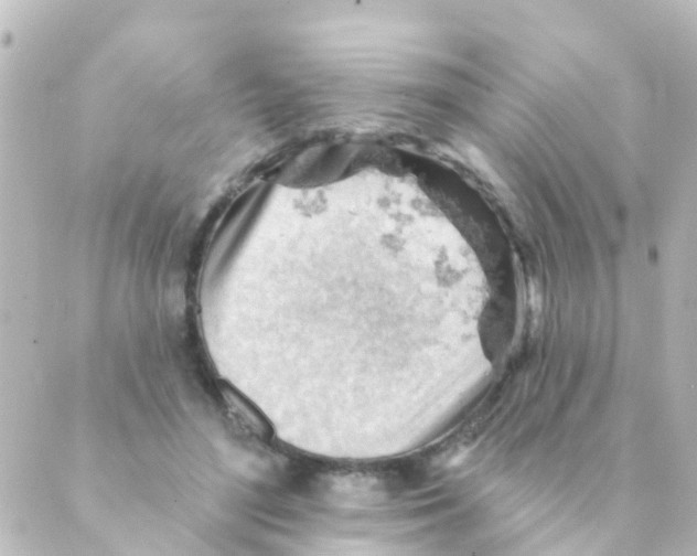 X0000088650500200706221614