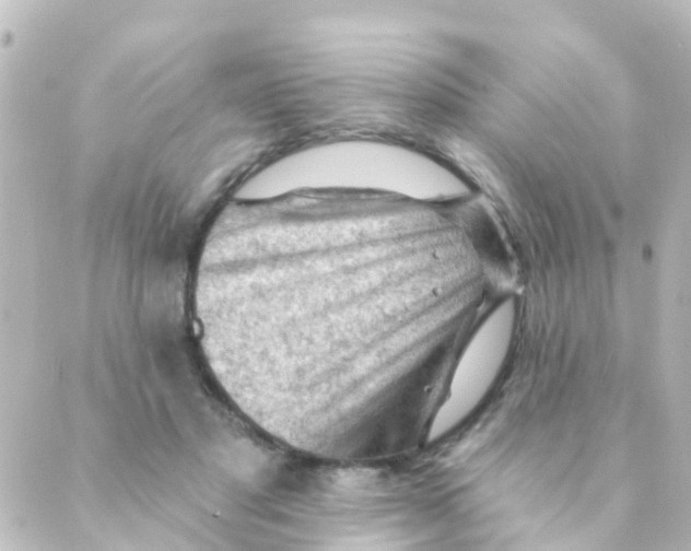 X0000088650501200706221614