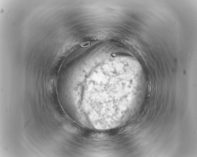 X0000088650503200706221614