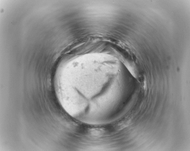 X0000088650508200706221614