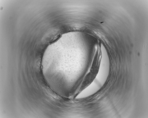 X0000088650509200706221614