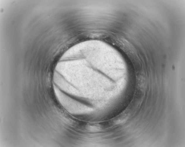 X0000088650510200706221614