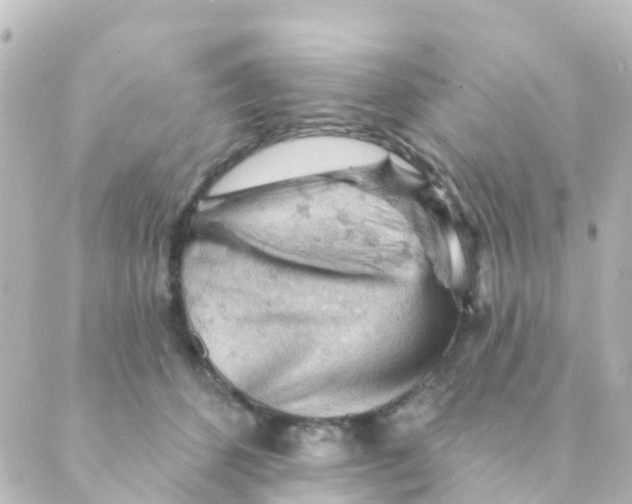 X0000088650512200706221614