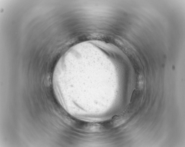 X0000088650514200706221614