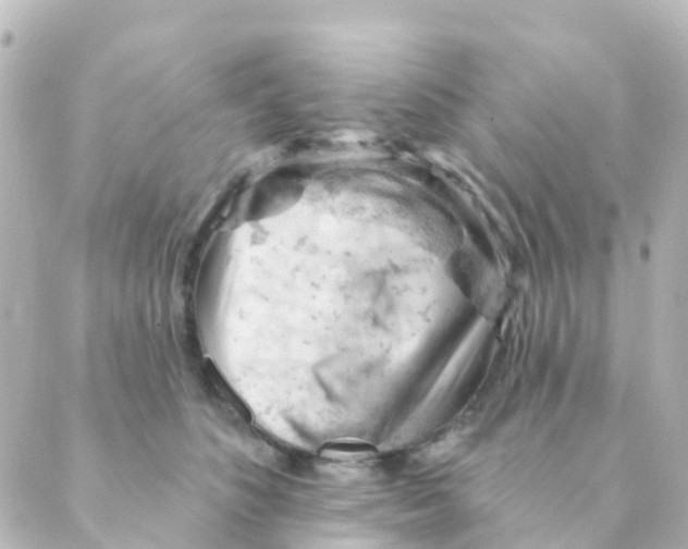 X0000088650516200706221614