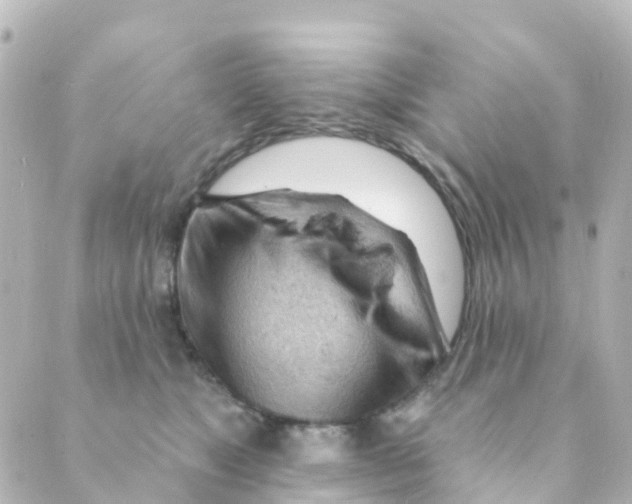 X0000088650517200706221614