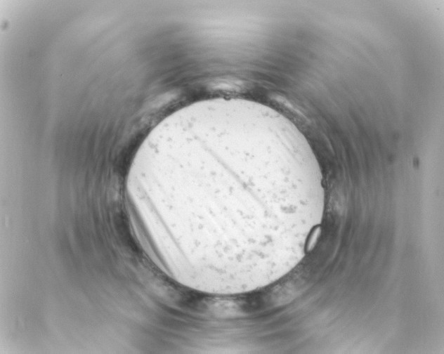 X0000088650518200706221614