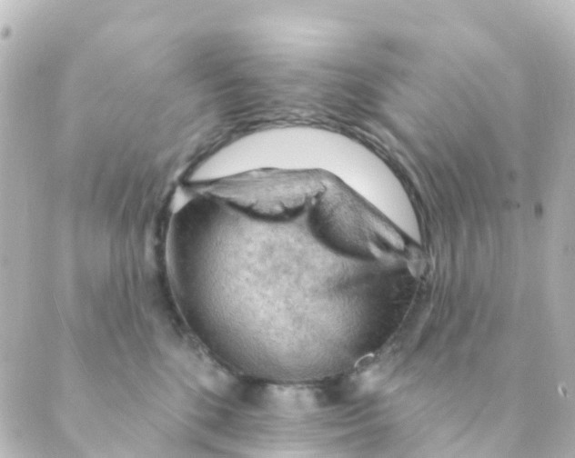 X0000088650520200706221614