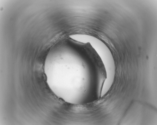 X0000088650521200706221613