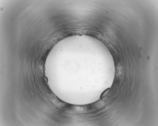 X0000088650522200706221613