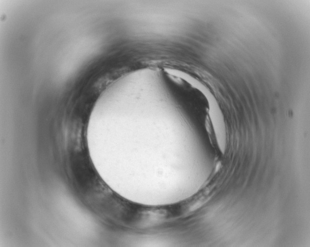 X0000088650525200706221613