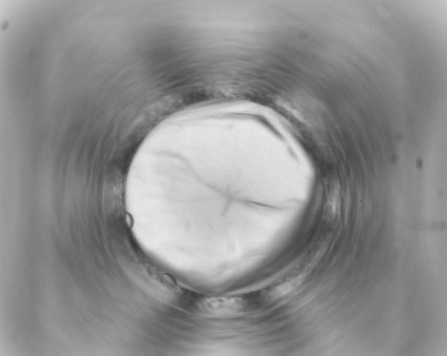 X0000088650526200706221613