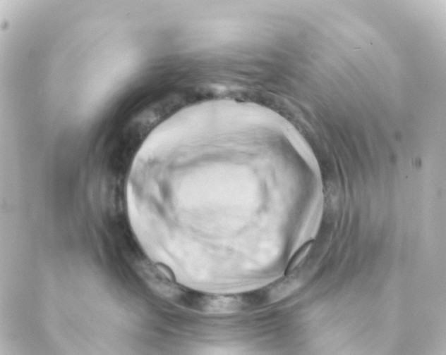 X0000088650527200706221613