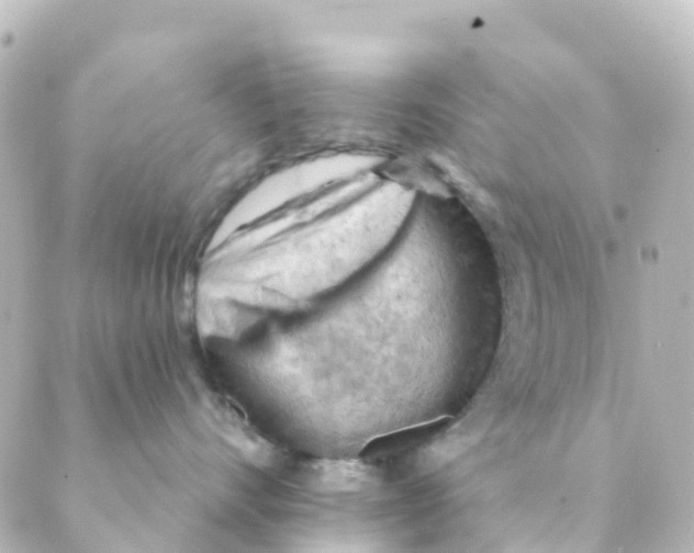 X0000088650528200706221613