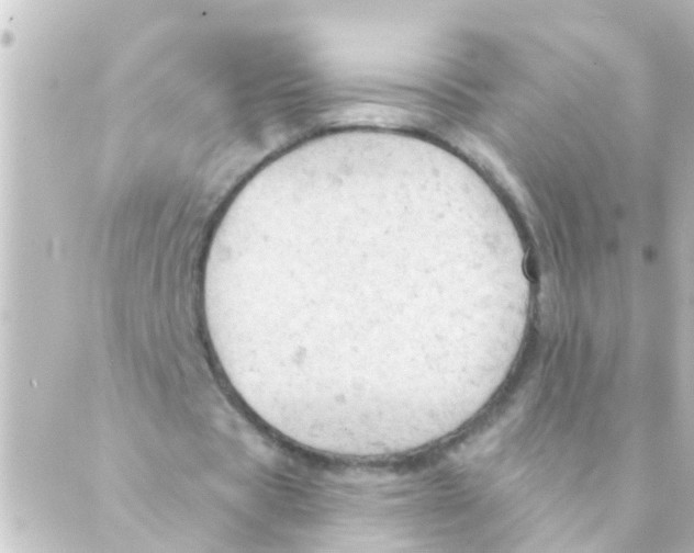 X0000088650529200706221613