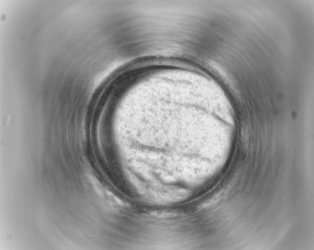 X0000088650532200706221613