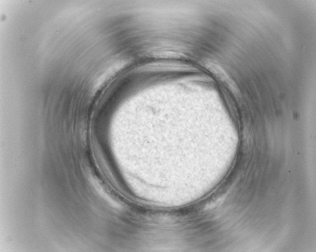 X0000088650533200706221613