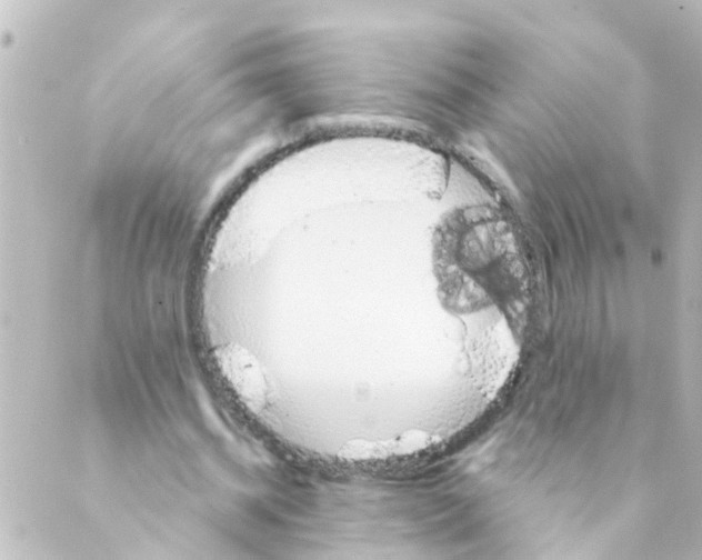 X0000088650534200706221613