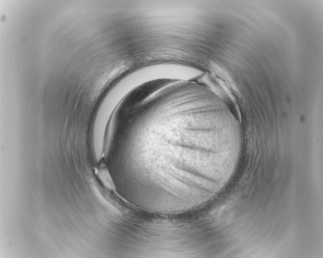 X0000088650538200706221613