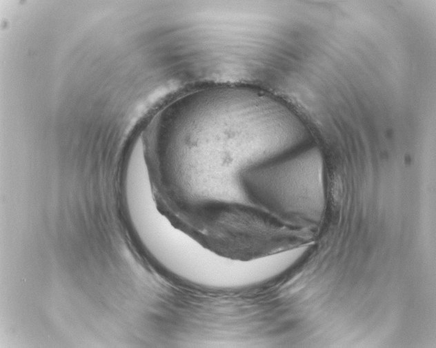 X0000088650540200706221613