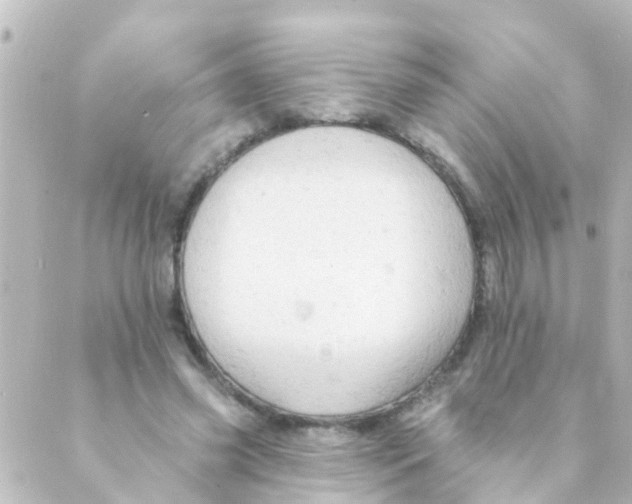 X0000088650541200706221613